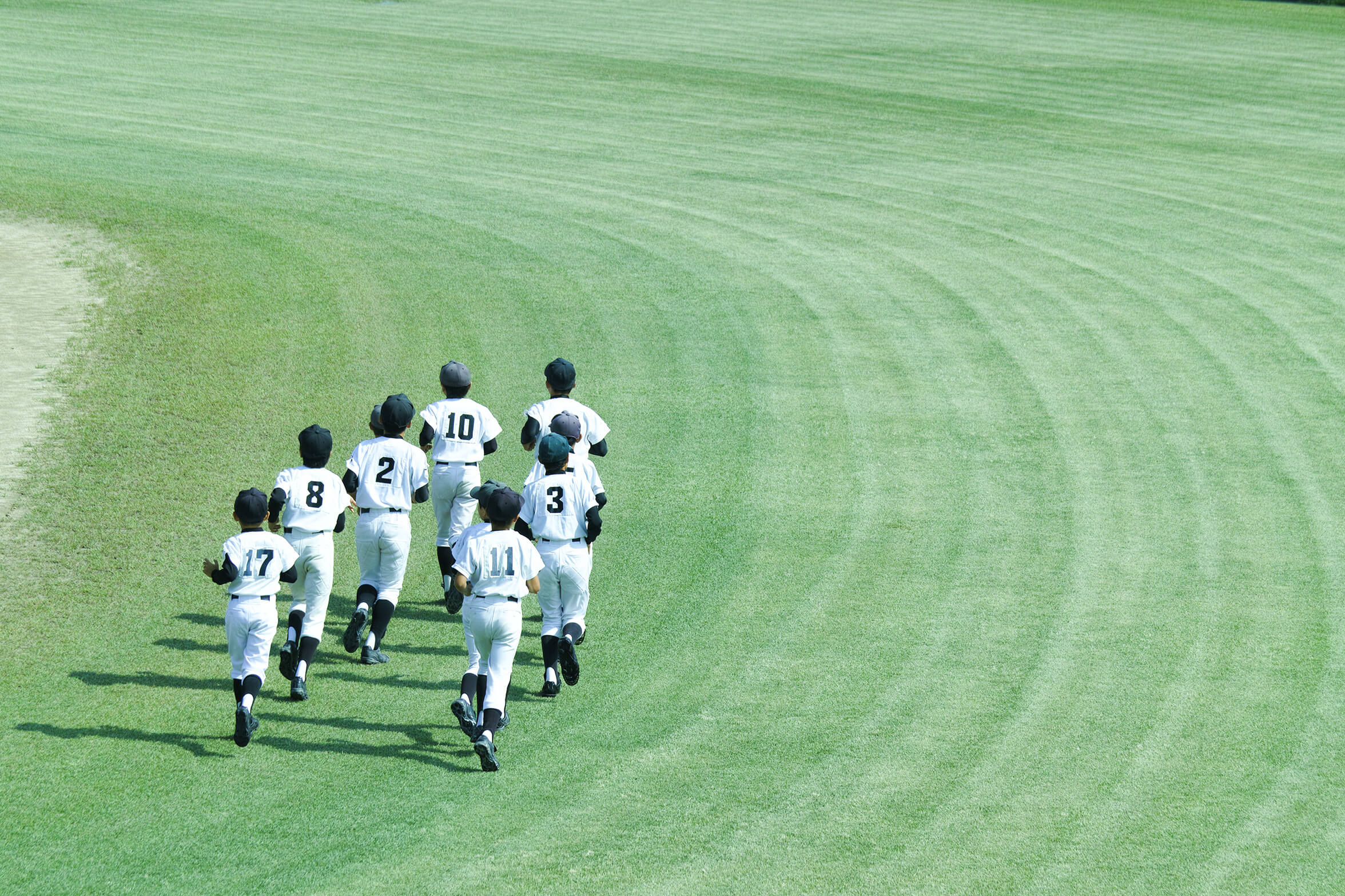 野球の活動